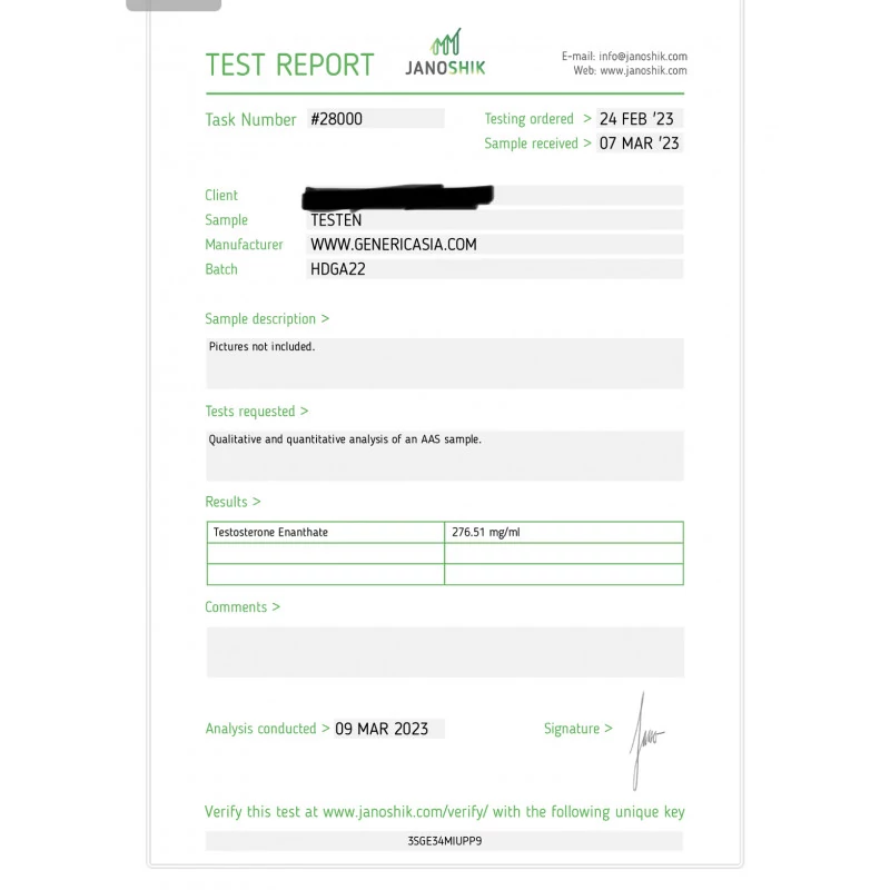 Testen Testen