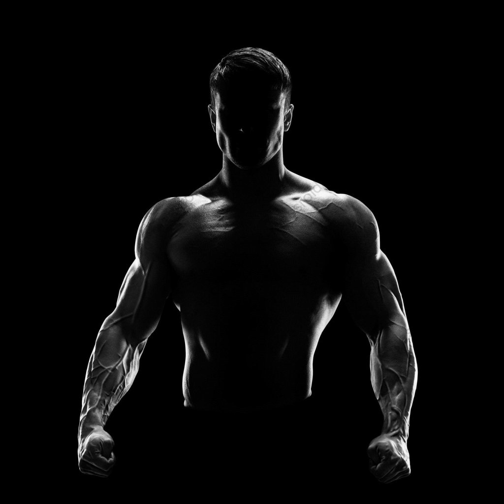 Advanced Lean/Bulk Cycle Advanced Lean/Bulk Cycle