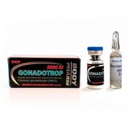 Gonadotropin 5000 IU - Human Chorionic Gonadotropin - BodyPharm