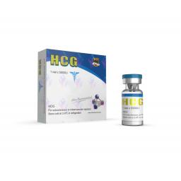 HCG 5000 IU - Human Chorionic Gonadotrophin - Odin Pharma