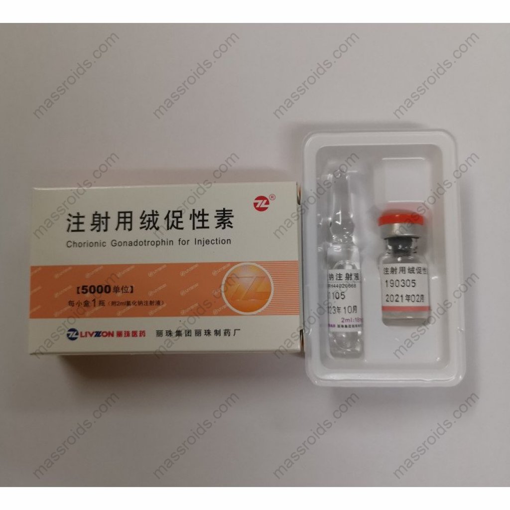 HCG 5000 IU HCG 5000 IU