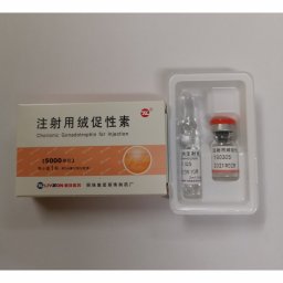 HCG 5000 IU