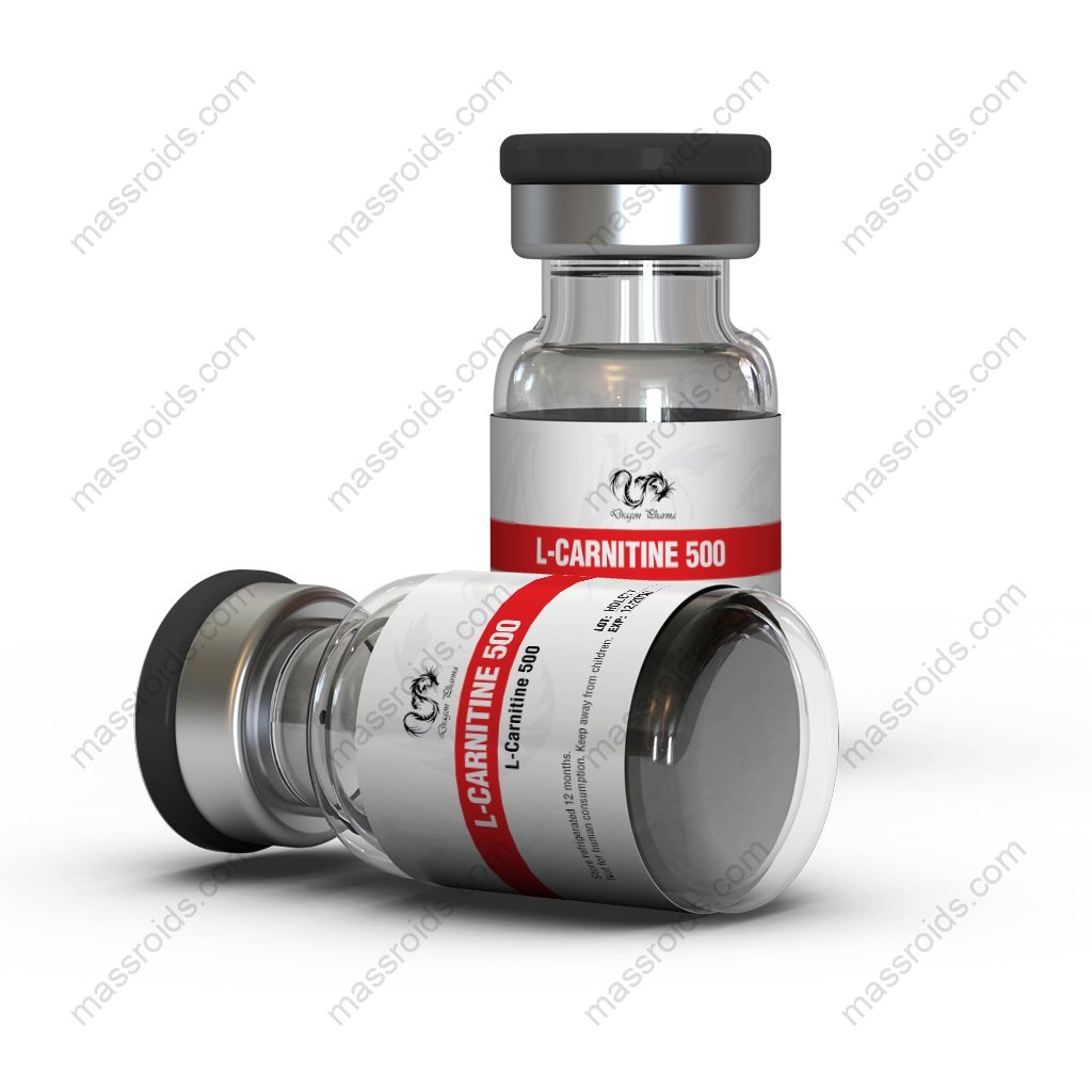 L-Carnitine 500 L-Carnitine 500