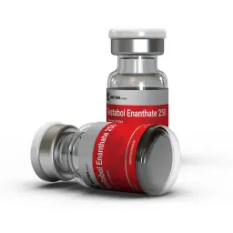 Testabol Enanthate 250 Testabol Enanthate 250
