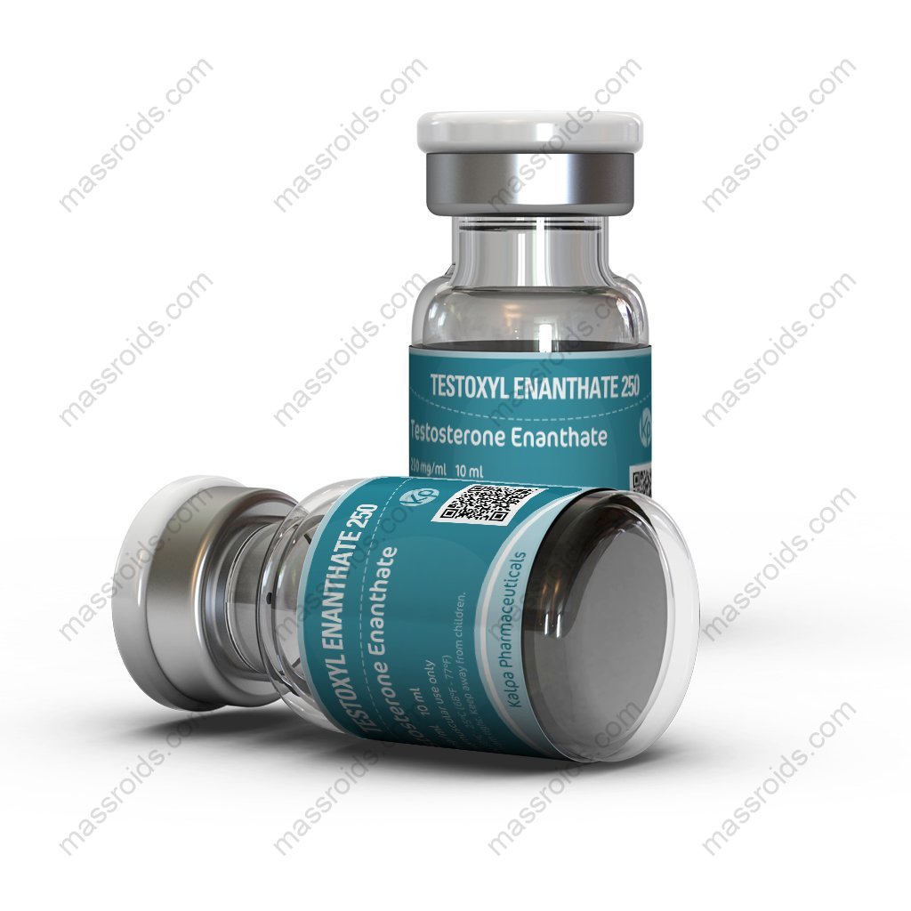 Testoxyl Enanthate 250 Testoxyl Enanthate 250